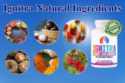 Ignitra-ingredients